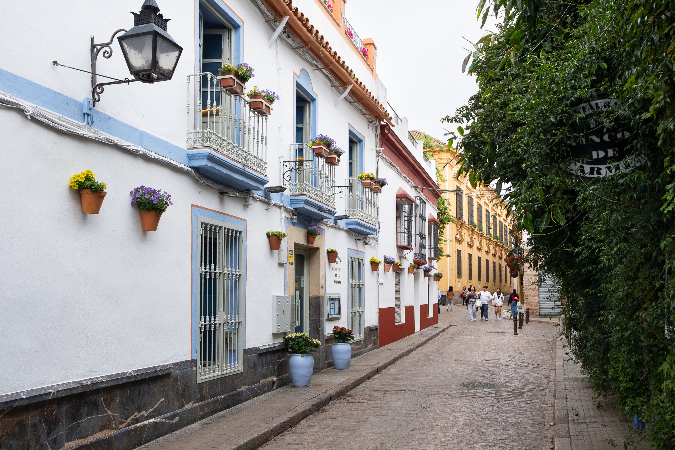 Typische Córdobaner Gasse mit Blumenschmuck